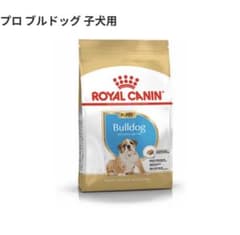 ラスト当日発送】ロイヤルカナン ブルドッグ 子犬用 12kg＋サンプル