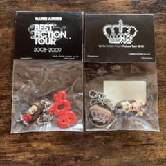 安室奈美恵 Namie Amuro キーホルダー2008-2009 2010 - メルカリ