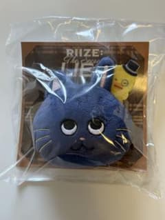 RIIZE ウォンビン ぬいぐるみバッジ トレカ トニャンドク ファンミ