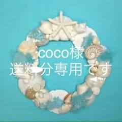 coco様送料分専用ですのサムネイル