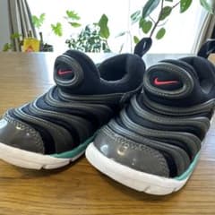 【お値下げ】NIKEダイナモフリー 15cmのサムネイル