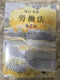 労働法 第六版 第6版 川口美貴のサムネイル