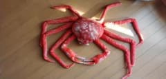 タカアシガニ ぬいぐるみ リアルのサムネイル