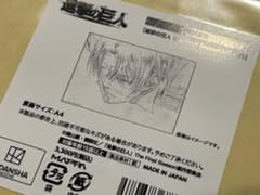 Attack Titan/MAPPA 15th/Levi/Reproduced Original Artwork