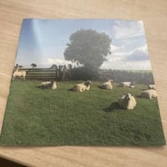 The KLF / CHILL OUT CDのサムネイル