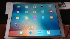 iPad Pro アキラ様専用のサムネイル