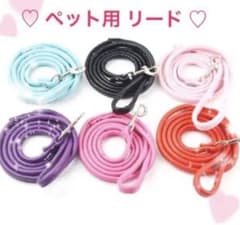 新品♡散歩用リード♡のサムネイル