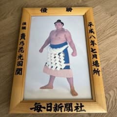 優勝額　平成8年7月場所　横綱貴乃花　大相撲のサムネイル