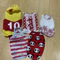 犬 服 XS 5点セット 新品ありのサムネイル