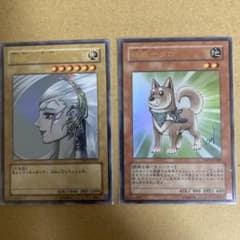 高橋和希 逆転の女神 柴戦士タロ 遊戯王 - メルカリ