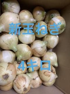 静岡県産　新玉ねぎ　黄玉 4キロのサムネイル