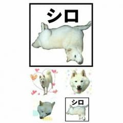 防水 もみ子様専用のサムネイル