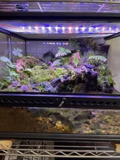 【受注生産】爬虫類水槽　赤い砂漠のレイアウト 受注生産】爬虫類水槽 赤い砂漠のレイアウト|mercariメルカリ官方指定