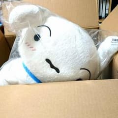 とっても大きいシロのぬいぐるみのサムネイル