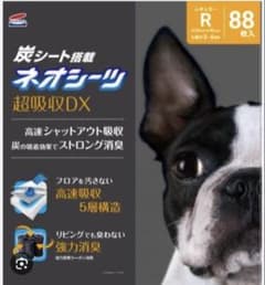 炭シート搭載 ネオシーツ超吸収DX お試し6枚入のサムネイル