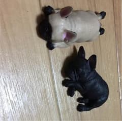 むにゃむにゃ フレンチブルドッグのサムネイル