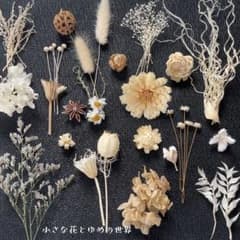 ✤花材セット10✤ホワイト系たっぷり17種以上✤プリザーブド✼ドライおまけありのサムネイル