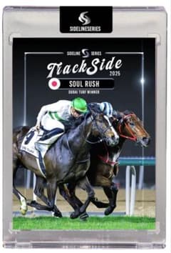 ソウルラッシュ デムーロ　世界限定 ホースレーシングカード 競馬　専用台座付　馬