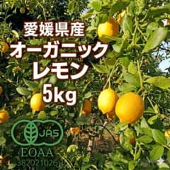 【まりりんまま様 専用】オーガニックレモン 良品 5kg(箱込み) 愛媛県産のサムネイル