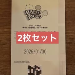 ハッピーエントリー通行証（1/17) ランド分 ※2枠 2026/1/30 ディズニーランド ハッピーエントリー 通行証 2枚セット