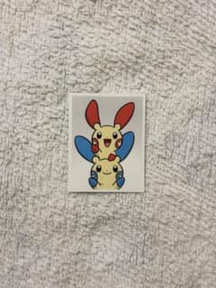 ポケモン pokemon 韓国限定 30周年記念 証明写真 プラスル マイナン