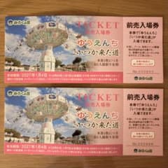 みろくの里　いつか来た道　前売り入場券　２枚 - 2