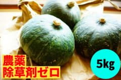★カボセール中★北海道産　農薬不使用かぼちゃ[グラッセ] 　5kgのサムネイル
