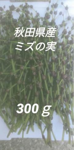 秋田県産 ミズの実300ｇのサムネイル