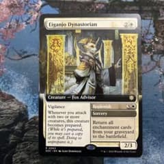 MTG 영암성의 황국사가 확장 아트 영어판