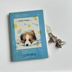 平成レトロ　まめいぬパラダイス かぎ付き　交換ノート クーリア 鍵付き交換ノート 交換ノート 犬デザイン 平成レトロ - メルカリ