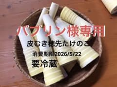 バブリン様専用　穂先たけのこ　米ぬか付きのサムネイル