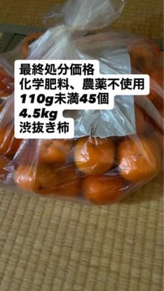 最終販売 タネなし柿 小玉110g未満 45個のサムネイル