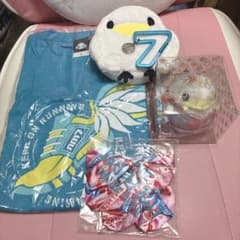 水樹奈々LIVE グッズセットのサムネイル