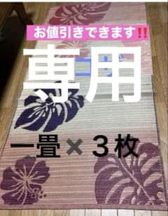 花ござ・モンステラ柄 ハイビスカス柄3畳！のサムネイル