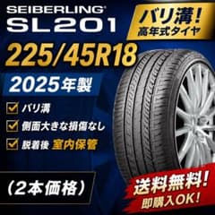 SEIBERLING 225/45R18 2本セット 25年製 バリ溝 SEIBERLING 225/45R18 2本 25年製 バリ溝 ブリジストン - メルカリ