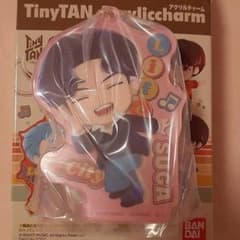 BTS Tinytan 아크릴 매력 윤기