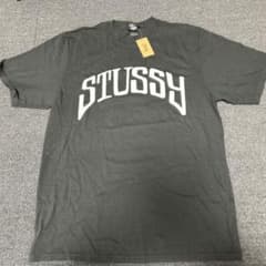 【24時間限定価格】明日の12まで STUSSY ブラック Tシャツ Mサイズのサムネイル