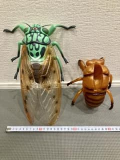 リアルビッグサイズフィギュア ミンミンゼミ セミの抜け殻 2体セット