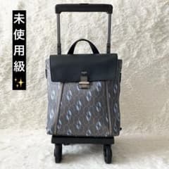 未使用級✨センススワニー キャリーケース カジュアルバッグ グレー 未使用級✨センススワニー キャリーケース カジュアルバッグ グレー