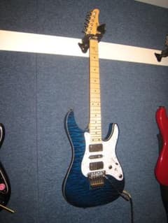 Schecterのサムネイル