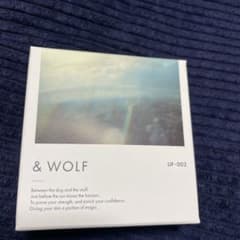 N organic &WOLF UVセラムリキッドファンデーションのサムネイル