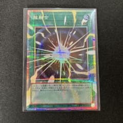 m70237233941_1.jpg?1772235667