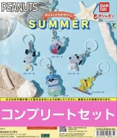 PEANUTS めじるしアクセサリー SUMMER 全5種 コンプリートのサムネイル