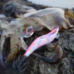 ビーストさん専用のサムネイル
