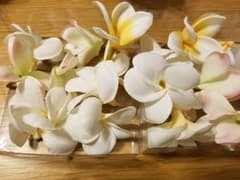 プルメリア　花びら　造花のサムネイル
