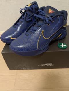 新品】NIKE LEBRON 22 NRG グローバルラスト - メルカリ