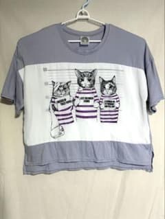 ScoLar Tシャツ 猫 プリント グレーのサムネイル