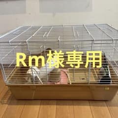 ハリネズミ ケージ 飼育セット - メルカリ
