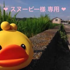 ❤︎スヌーピー様専用❤︎のサムネイル