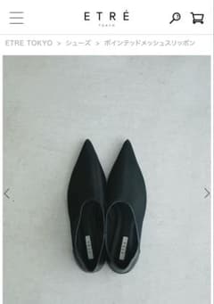 ETRE Tokyo ポインテッドメッシュスリッポン 37 BLACK ETRE Tokyo ポインテッドメッシュスリッポン 37 BLACK - メルカリ